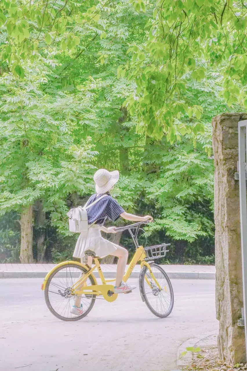 中国春天最美的10座大学，好想回去谈一场恋爱