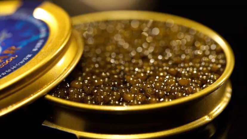 《上新吧!山川湖海》开播 世界美食走近「寻常百姓」