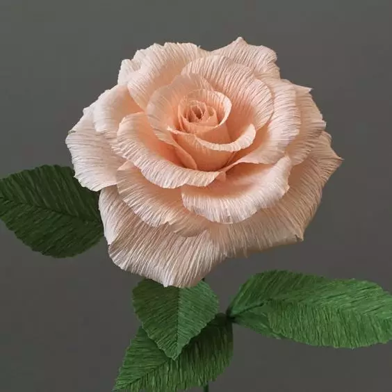 玫瑰花别在买了，学会纸艺天天有花赏，15种折纸玫瑰花，附教程