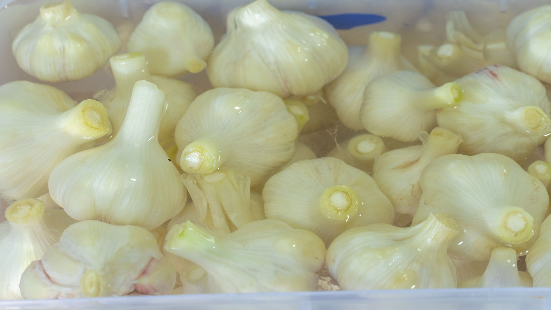寒春易感冒，饮食注意少酸多辛，多吃“3白3红3黄”，顺利过春寒