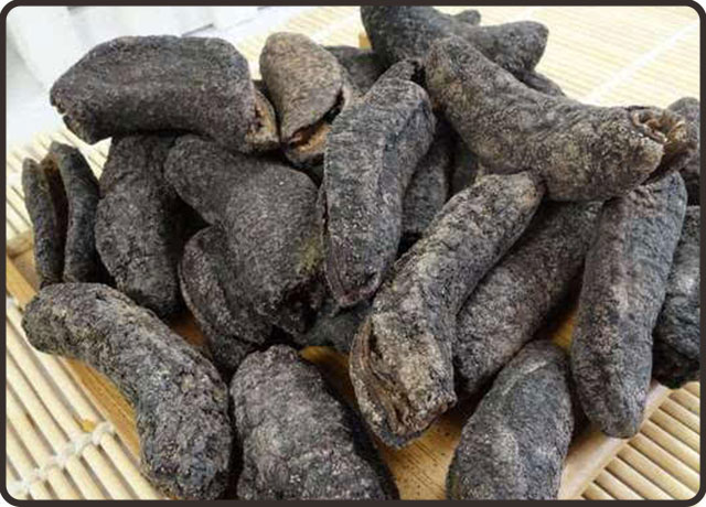 海参的食用方法和作用（海参的功效与注意事项）