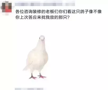 看设计师的朋友圈,个个都是文案鬼才