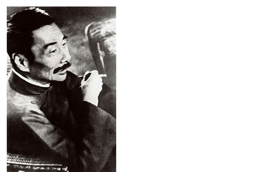 我们这个时代若在鲁迅看来，一定乏味得无可救药