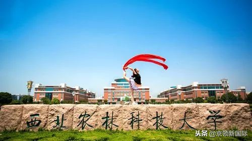 黄土高原走出来的葡萄酒专业，这所学校火的不只是小麦！