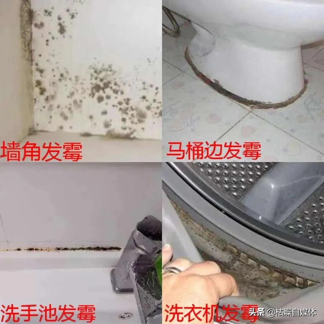 家里墙壁发霉？偷偷教你一招，比重刷还干净！