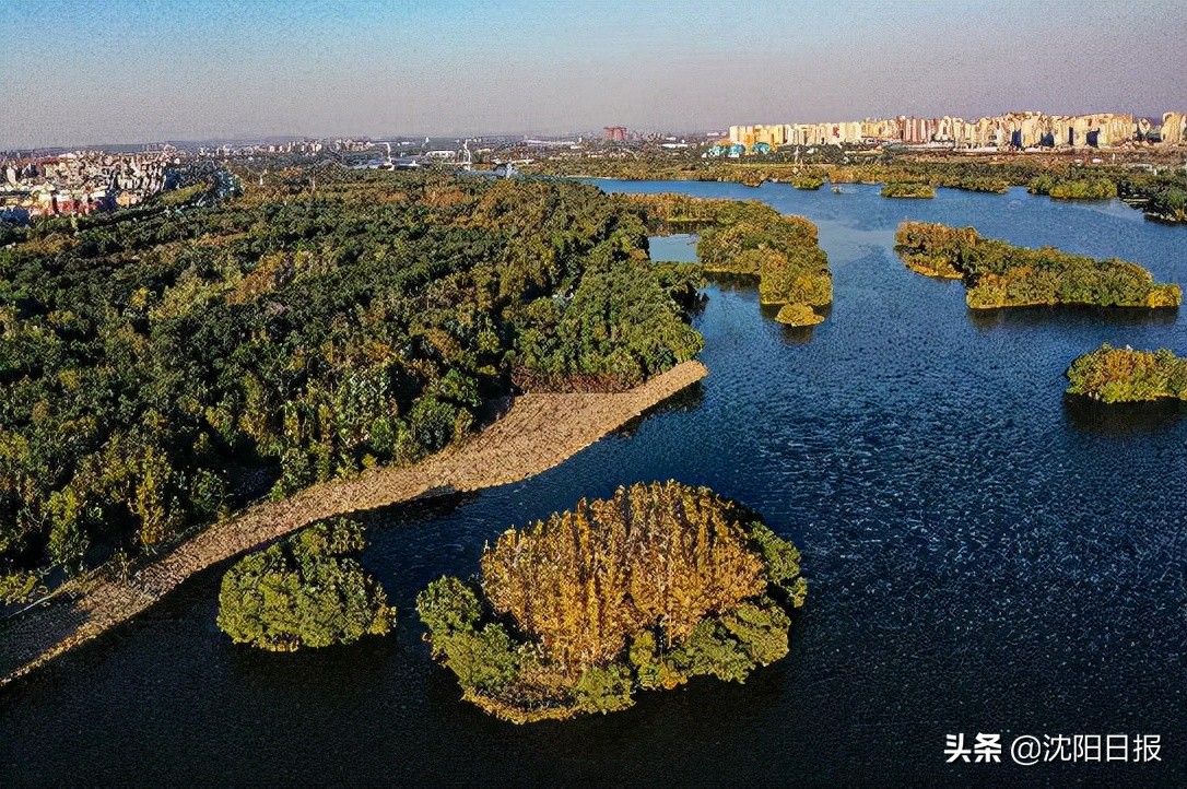 沈阳之秋：一年好景君须记，最是橙黄桔绿时