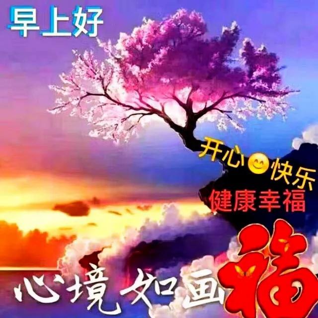 早晨好 愿我的问候给你带来快乐