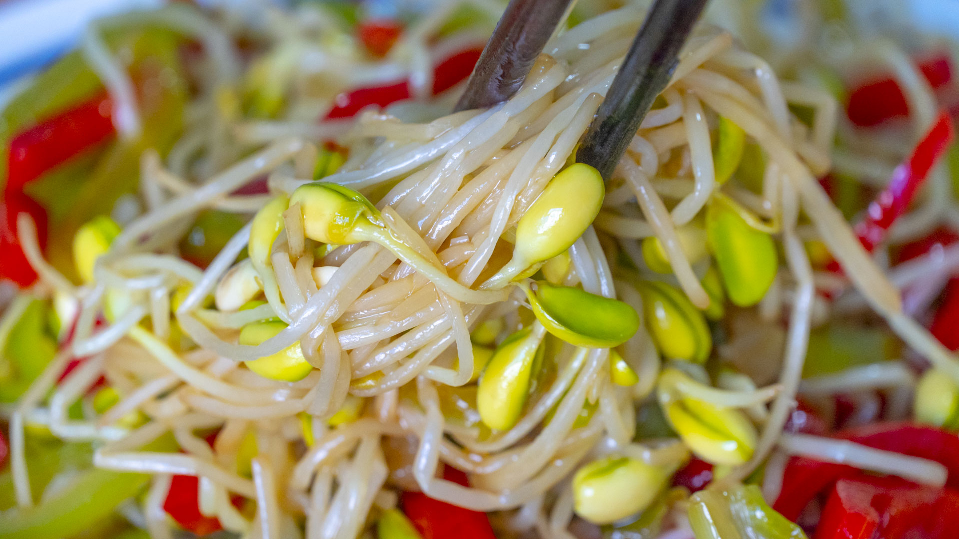 豆芽的做法,豆芽的做法大全家常