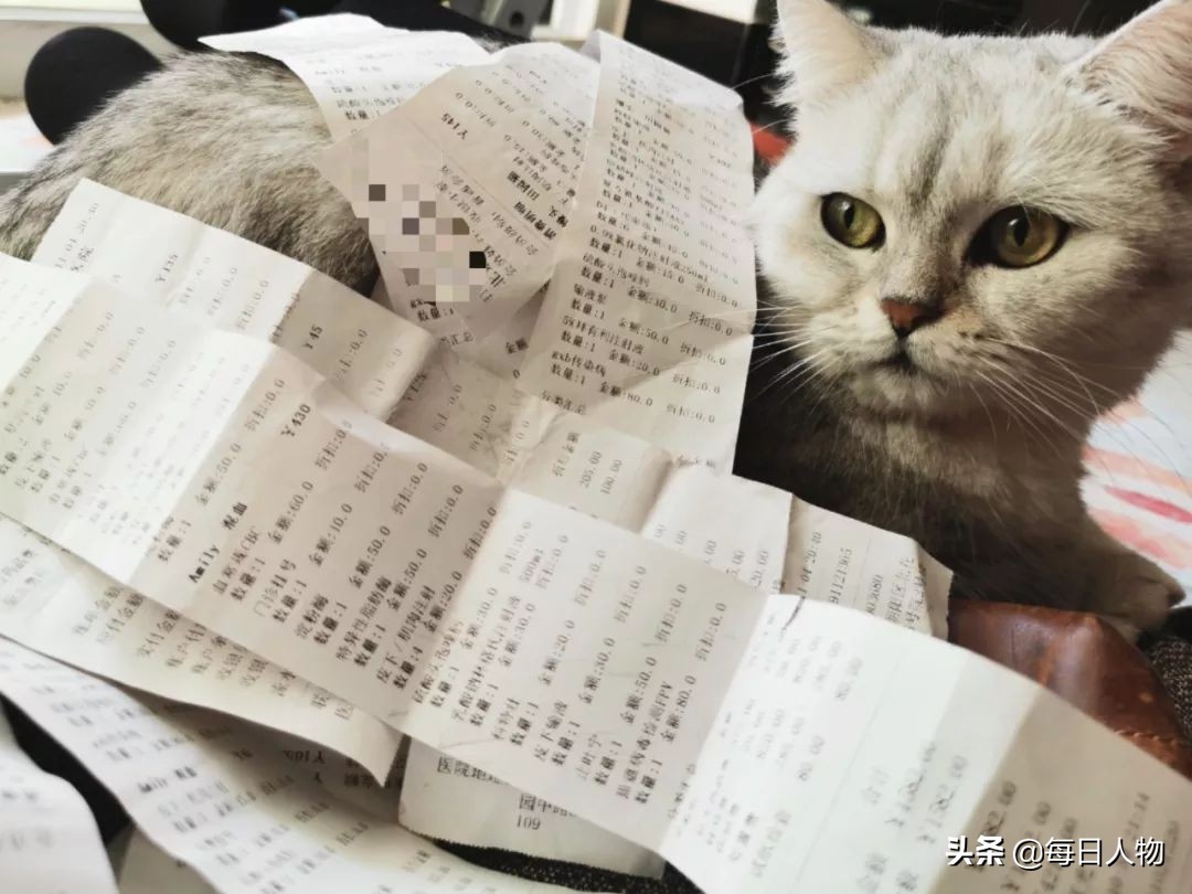 年轻人为何会养猫致贫？平均花费3969元，治猫绝症靶向药四万五