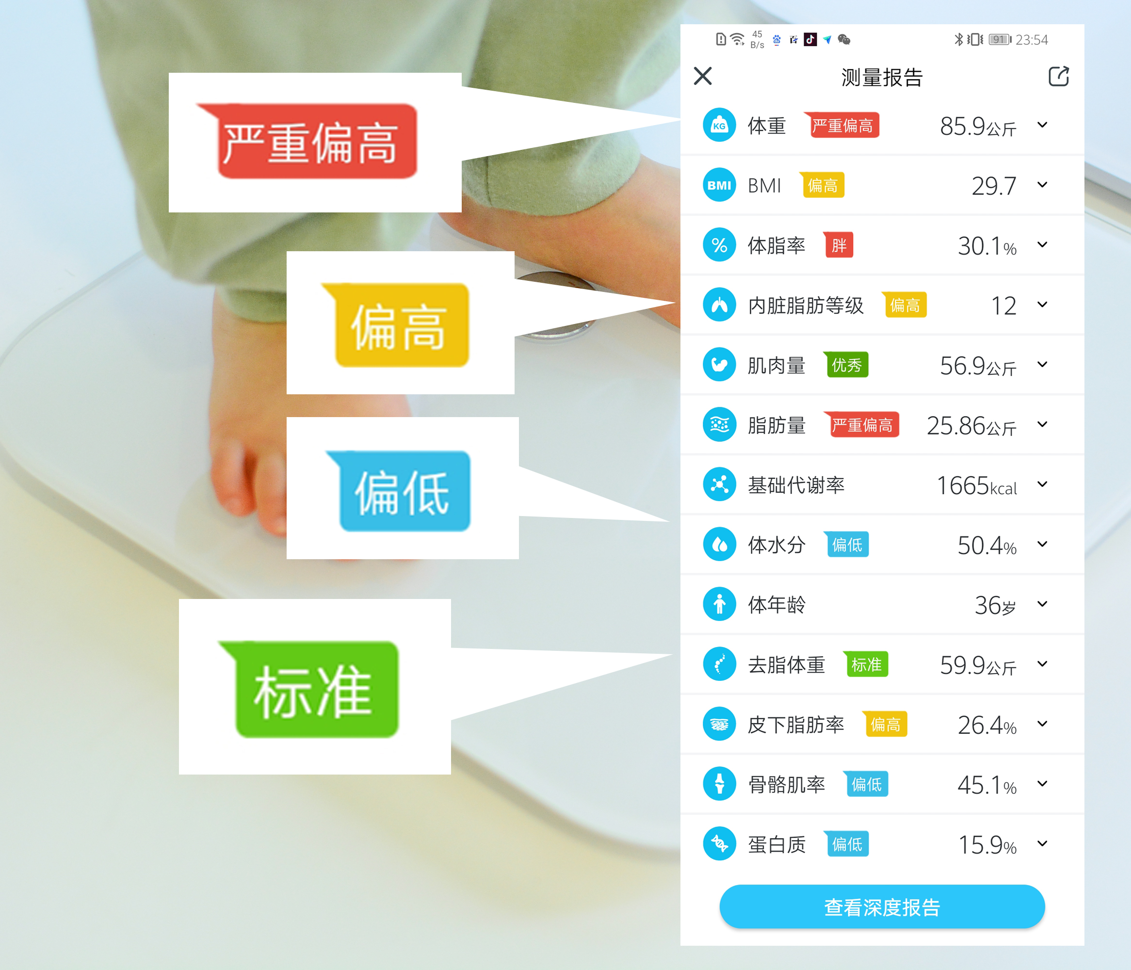性价比最高的两款体脂秤，云康宝和荣耀到底哪个好？