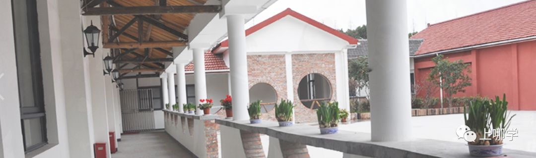 上海国际化学校TOP10