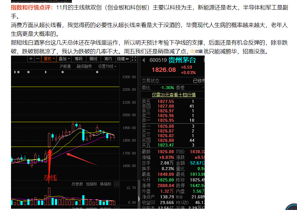白酒孕线启稳，医药无故大跌怎么办！（俊哥午间道）