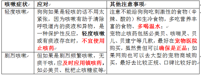 狗狗感冒，不能乱喂药，对症下药好得快