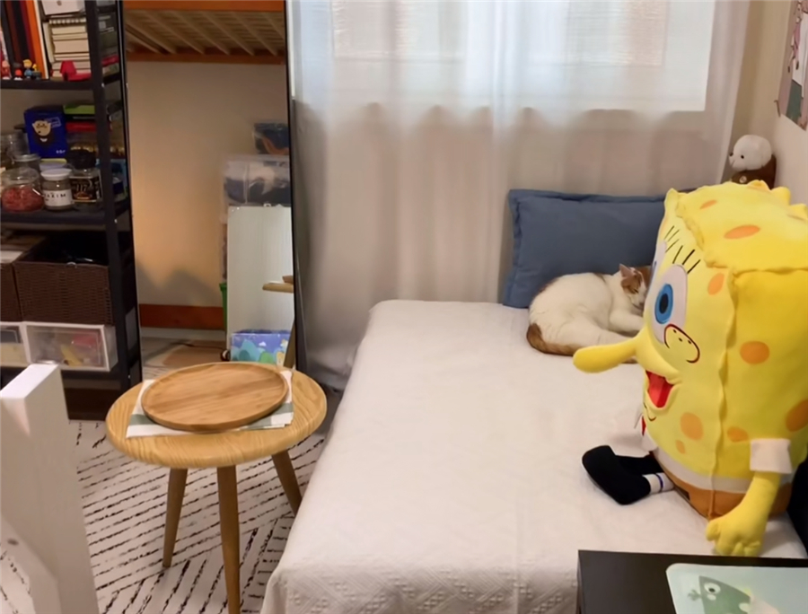 20㎡超迷你户型，独居女生塞下1室1厅1厨1卫，网友：服的