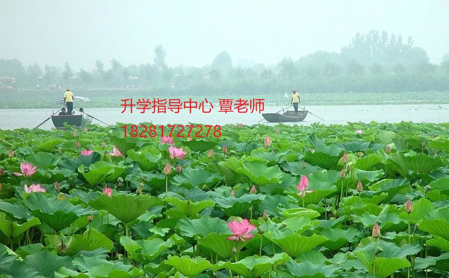 成都金沙职业技术学校2020年招生简介