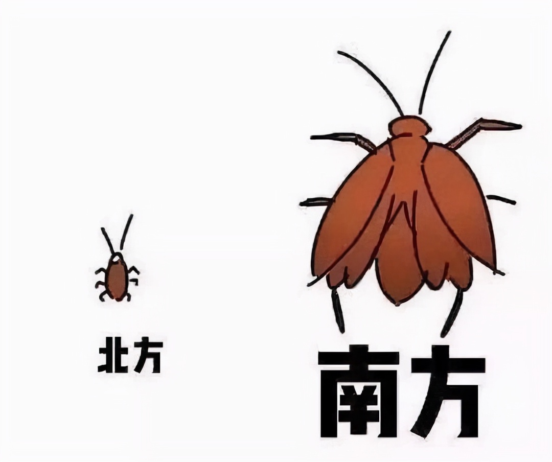 北方学生到南方读大学是啥体验？语言加密不算啥，干饭才是真难题