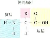 这一个池塘里的所有鱼，我都承包了