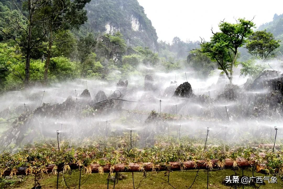 又美又凉快 德保是什么神仙地方