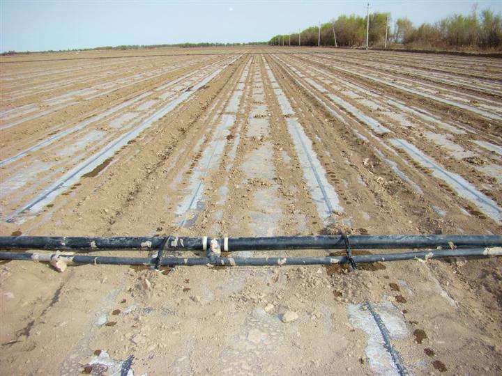 一,什么是玉米节水滴灌技术呢