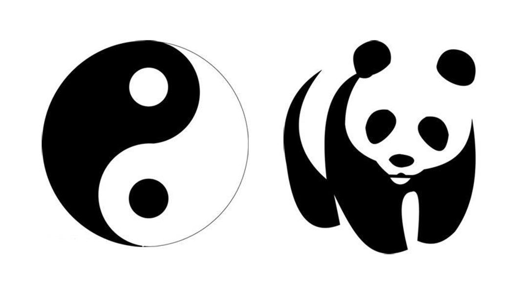 关于“大熊猫”的20件事，你都知道吗？