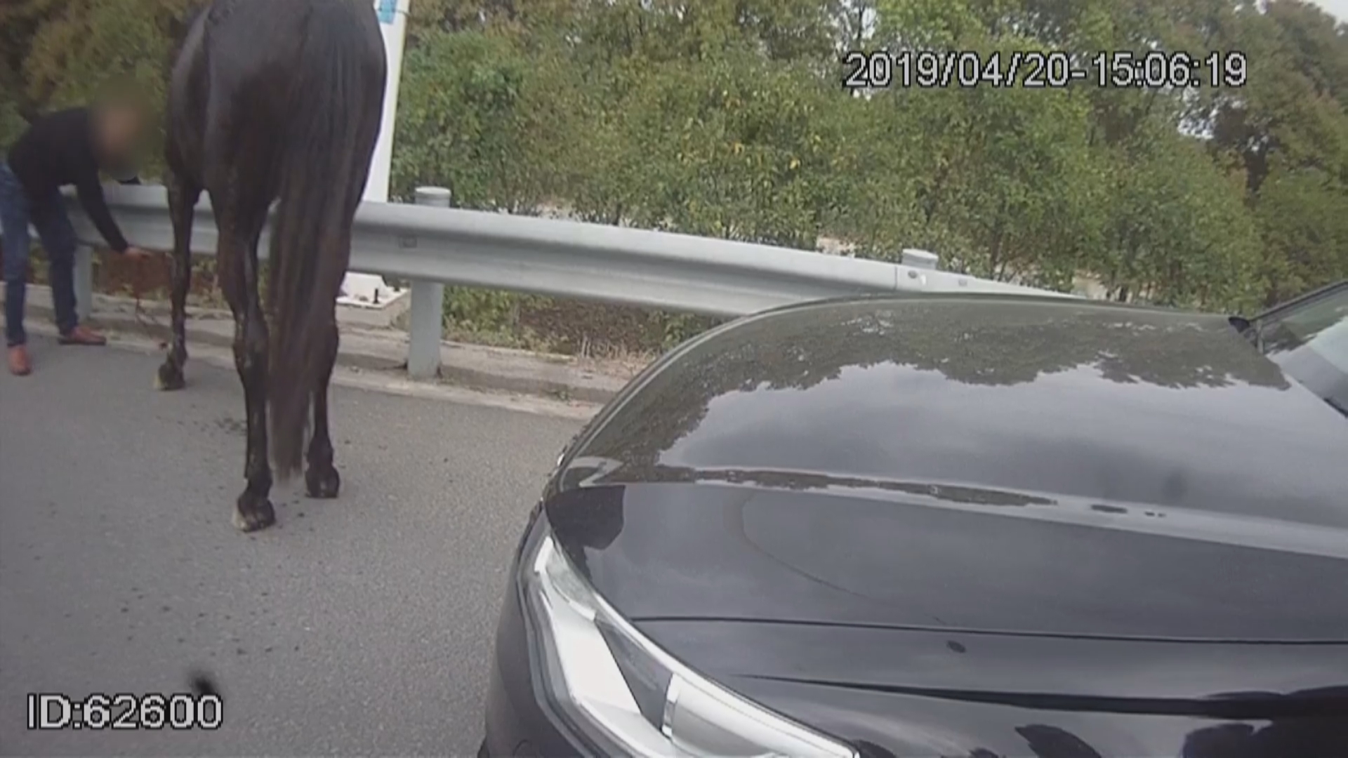 南通 ：马路上奥迪溜“宝马”， 交警拦停问真相！