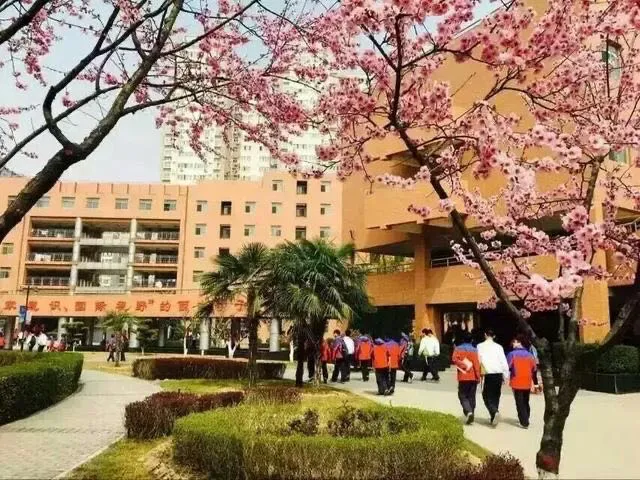 在陕西省西安中学求学是怎样的体验（一）