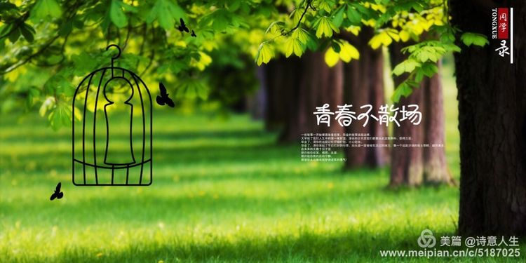 同学聚会酒一杯