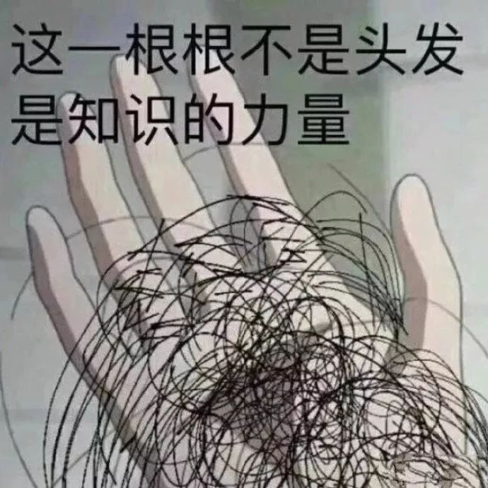 表情包：这一根根不是头发 是知识的力量