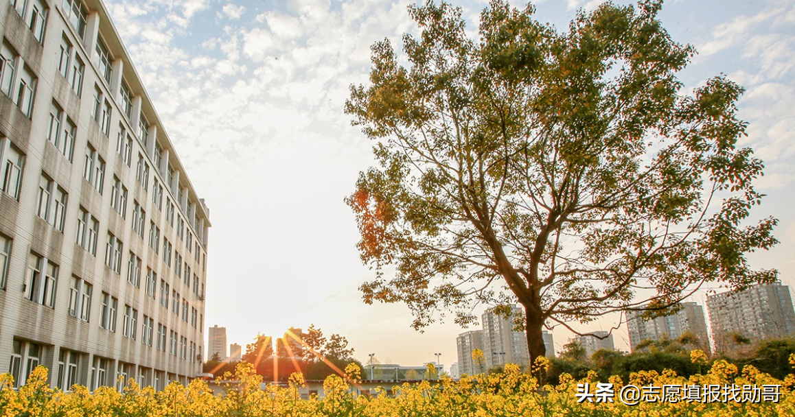 2019-2020年大学改名、升本，转设名单，最全收藏帖