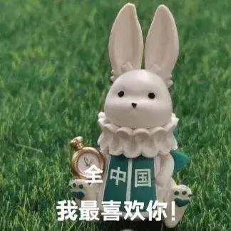 表情包：全中国我最喜欢你