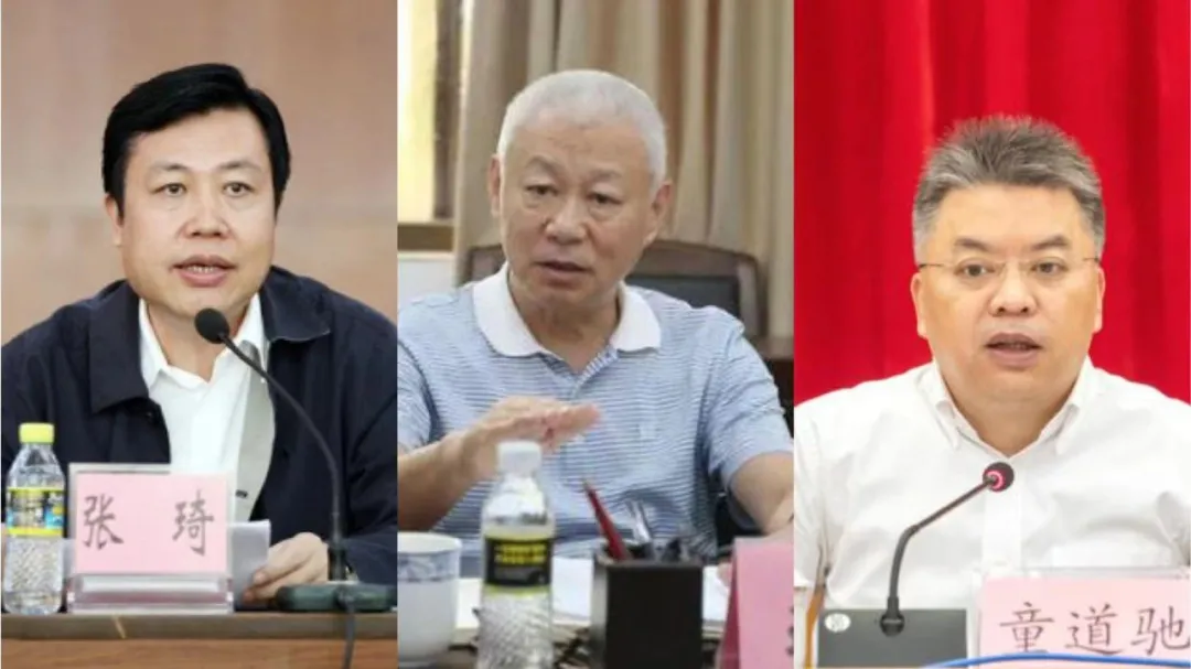 省纪委书记首次与他们谈话，涉及“海南虎”童道驰、王勇、张琦的共同问题