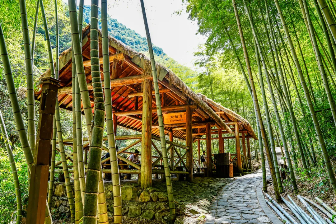 宁波高质量自驾攻略，度假模式开启