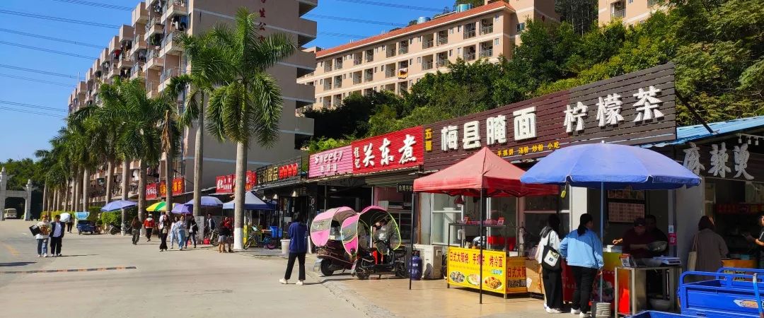 高职高考必看｜广州东华职业学院