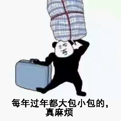 大包小包回家过年的表情包