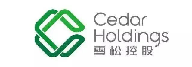 淄博齐翔腾达控股股东涉嫌内幕交易被立案，或牵出雪松集团债务隐忧