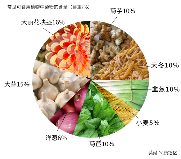 菊粉的功效和作用图片