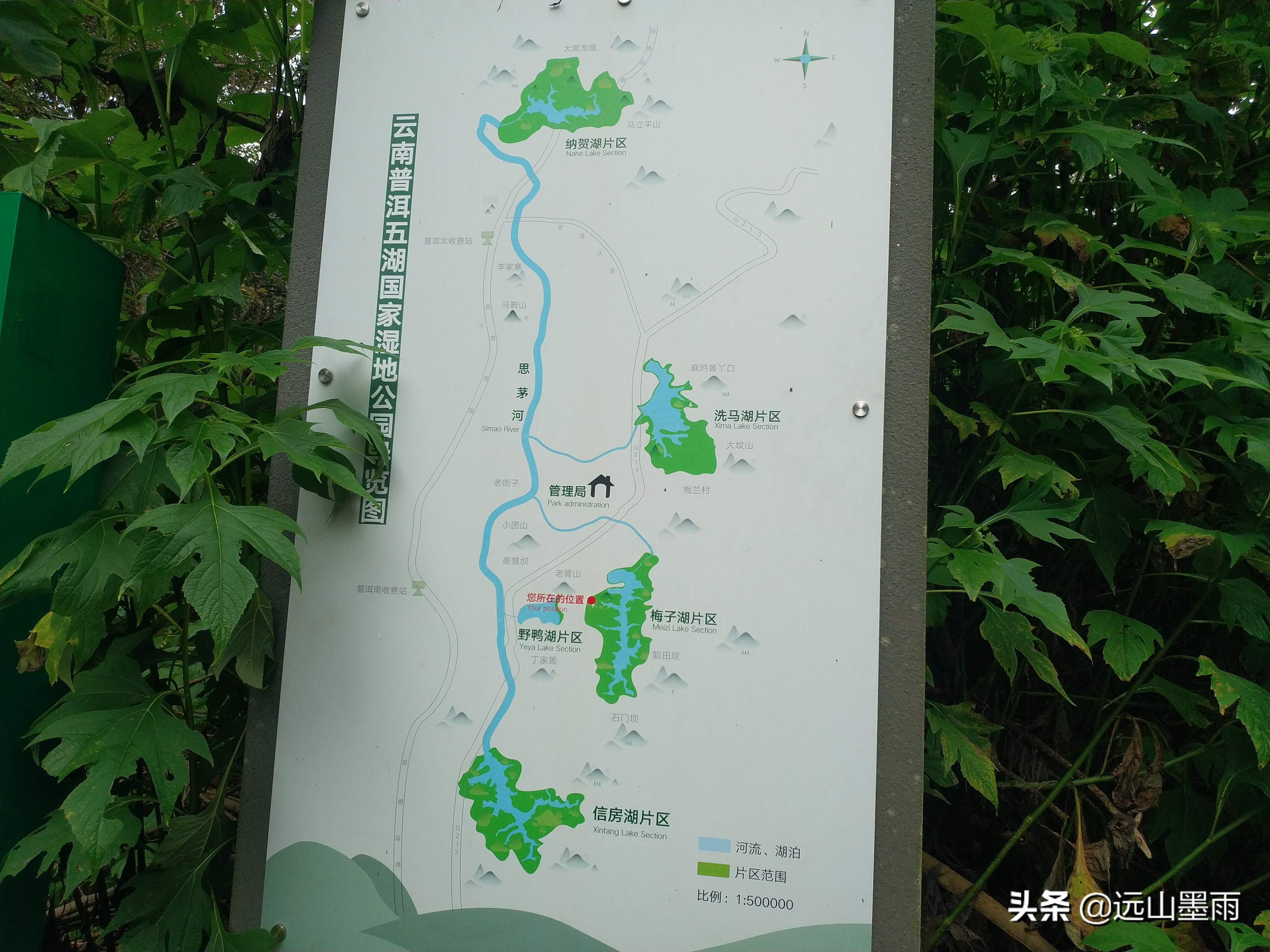 洗马湖、梅子湖、南部湿地公园，假期去云南普洱，有很多好玩场