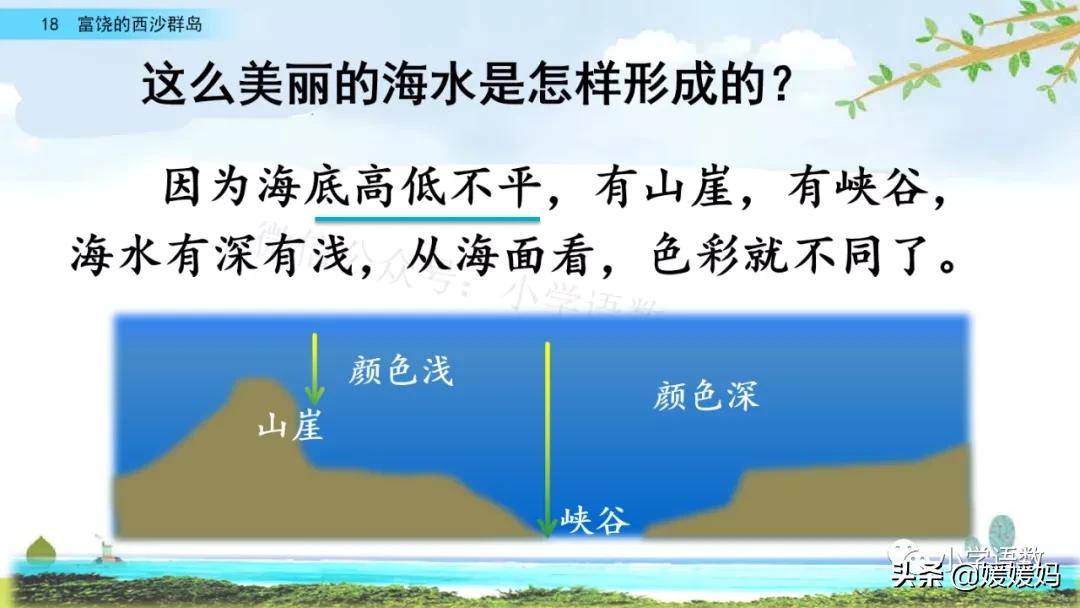 部编版三年级上册语文第18课《富饶的西沙群岛》课件及同步练习