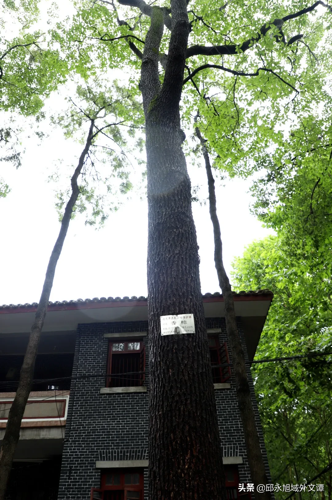 四川某高校班主任耗时2月自制357份毕业礼物，大学各有各的妖娆