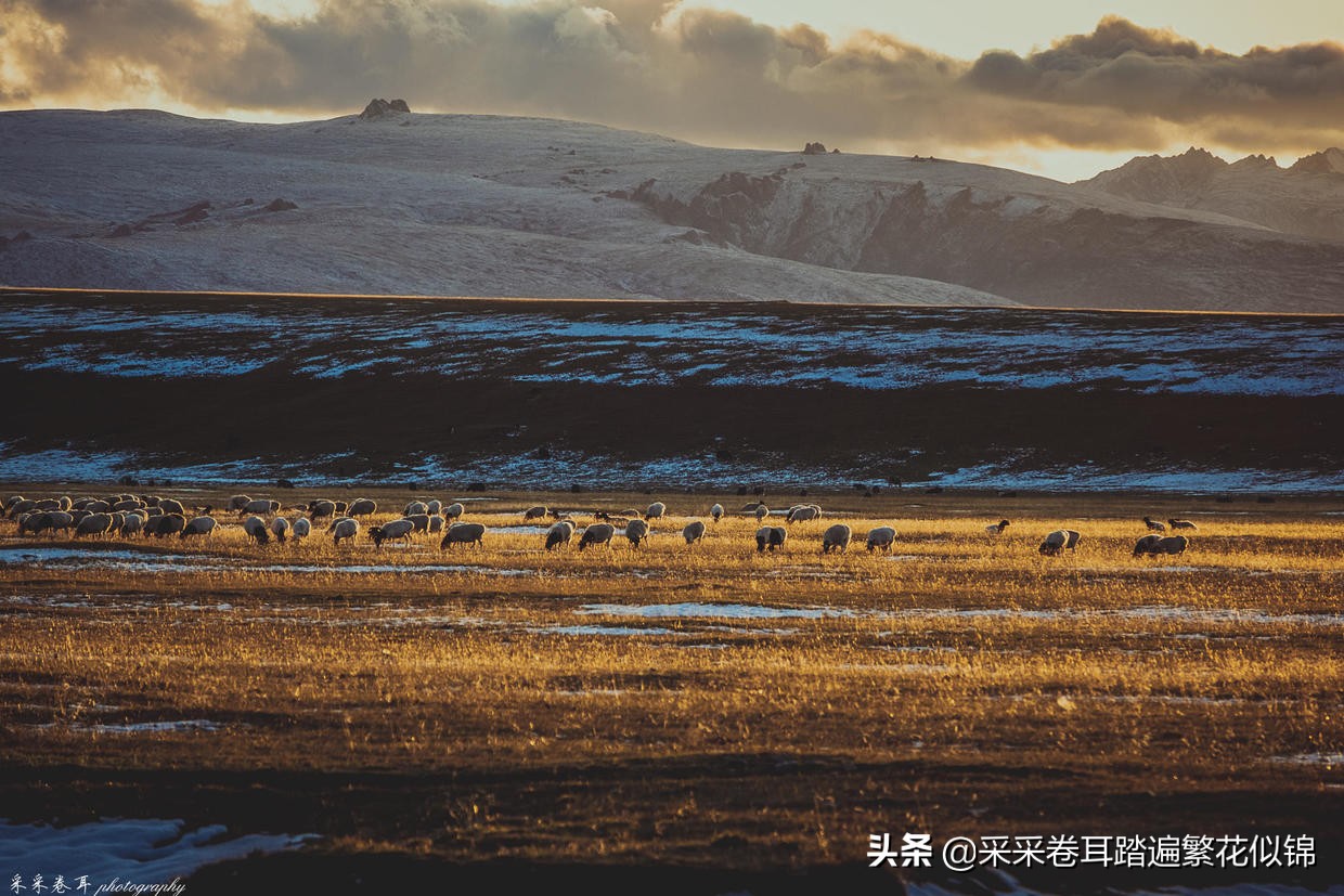 自驾新疆，夏秋伊犁怎么玩？快跟我云游发掘深度旅行小众目的地