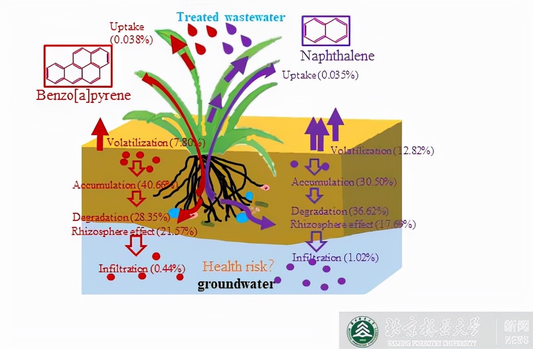 揭秘！北京林业大学科研实力如何？仅一个月，就有8项成果引发全球关注！