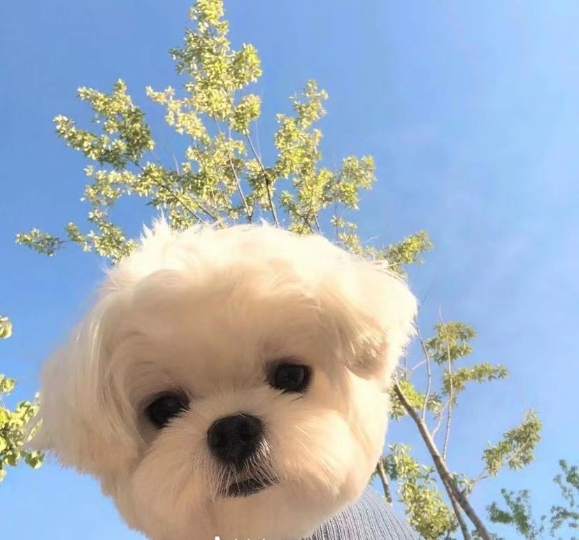 笑到打滚的神回复：这些句子一读就停不下来，嘴角根本压不住！