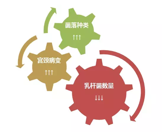 感染HPV的人那么多，为什么就你得了宫颈癌？