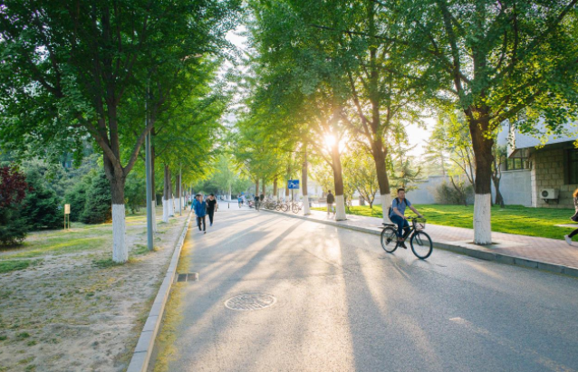 揭秘中国顶尖211高校的真实实力！14位院士坐镇，一年“壕撒”上千万！