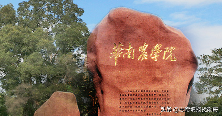 广东这所“双非大学”，曾风光无限，现在虽“没落”，但性价比高