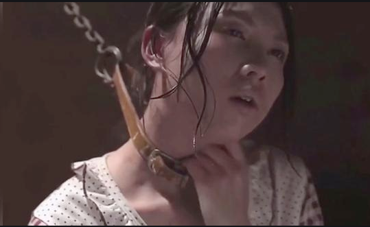 坠落之花之鬼打墙电影剧情「简介」 _晶羽科技