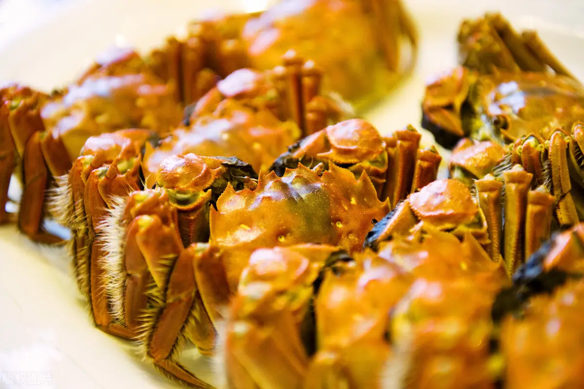 活螃蟹怎么保存到第二天（活螃蟹怎么存放活得时间长）