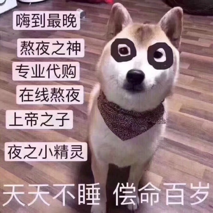 表情包：可不可以牵一下小猪猪的手？