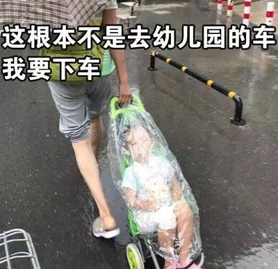 斗图表情包：我要下车，这根本不是去幼儿园的车！​​​​