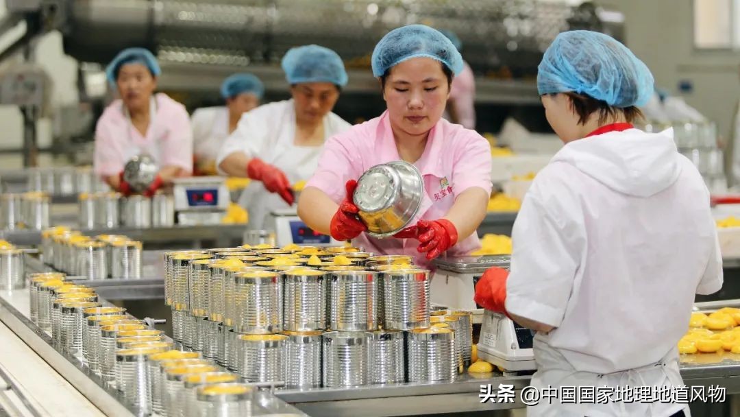 四省交界的“世界梨都”，到底有多拼？